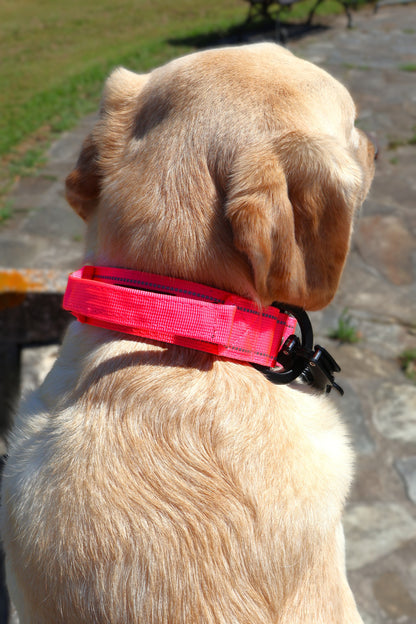 Pack Collar Táctico+Correa Táctica Multiposición
