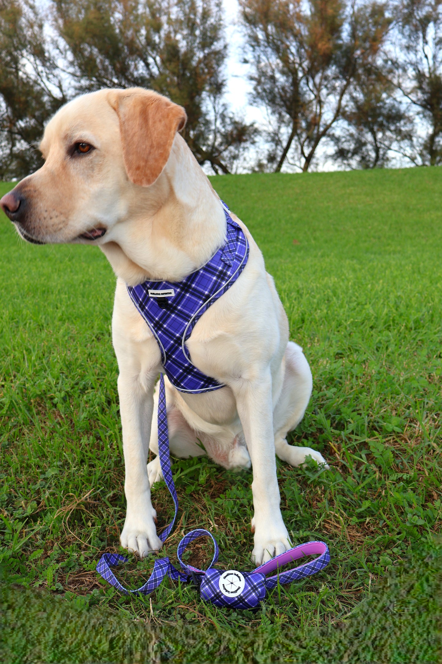 ¡ Nuevo Pack! Colección Lavanda. Arnés, Correa + Portabolsas.