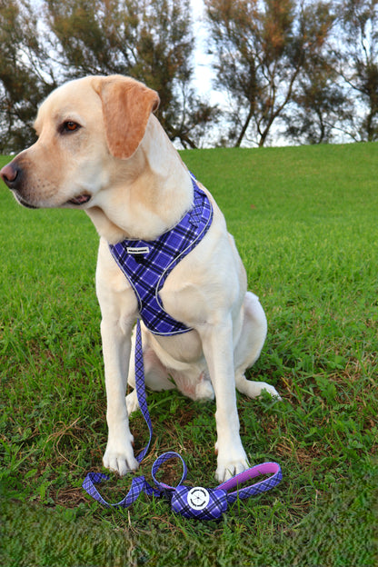 ¡ Nuevo Pack! Colección Lavanda. Arnés, Correa + Portabolsas.