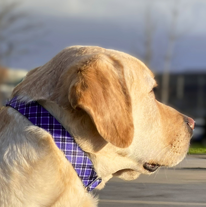 Collar Tartán