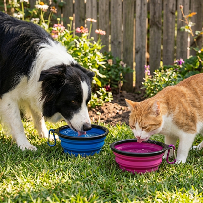 Foldable, portable and INDIVIDUAL feeder-drinker in ultra-slim pink for walks or trips with your dog.