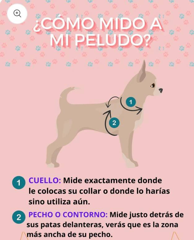 ¡ Nuevo Pack! Colección Lavanda. Arnés, Correa + Portabolsas.