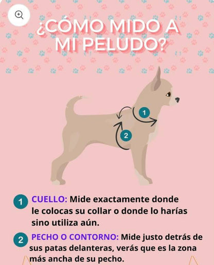 ¡ Nuevo Pack! Colección Lavanda. Arnés, Correa + Portabolsas.