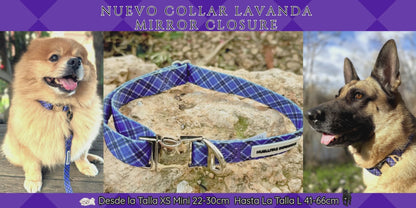 Pack Colección COLLAR LAVANDA Mirror Closure + Correa + Portabolsas