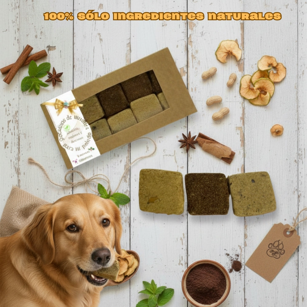 Paquete Con 20 Porciones de Turrón 100% Naturales de Reposteria Canina y Felina Profesional
